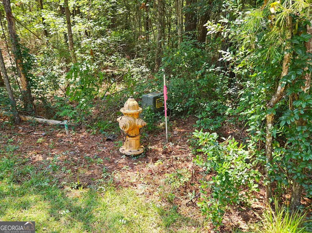 LOT 50 Tar Flower TRL Waverly, GA 31565