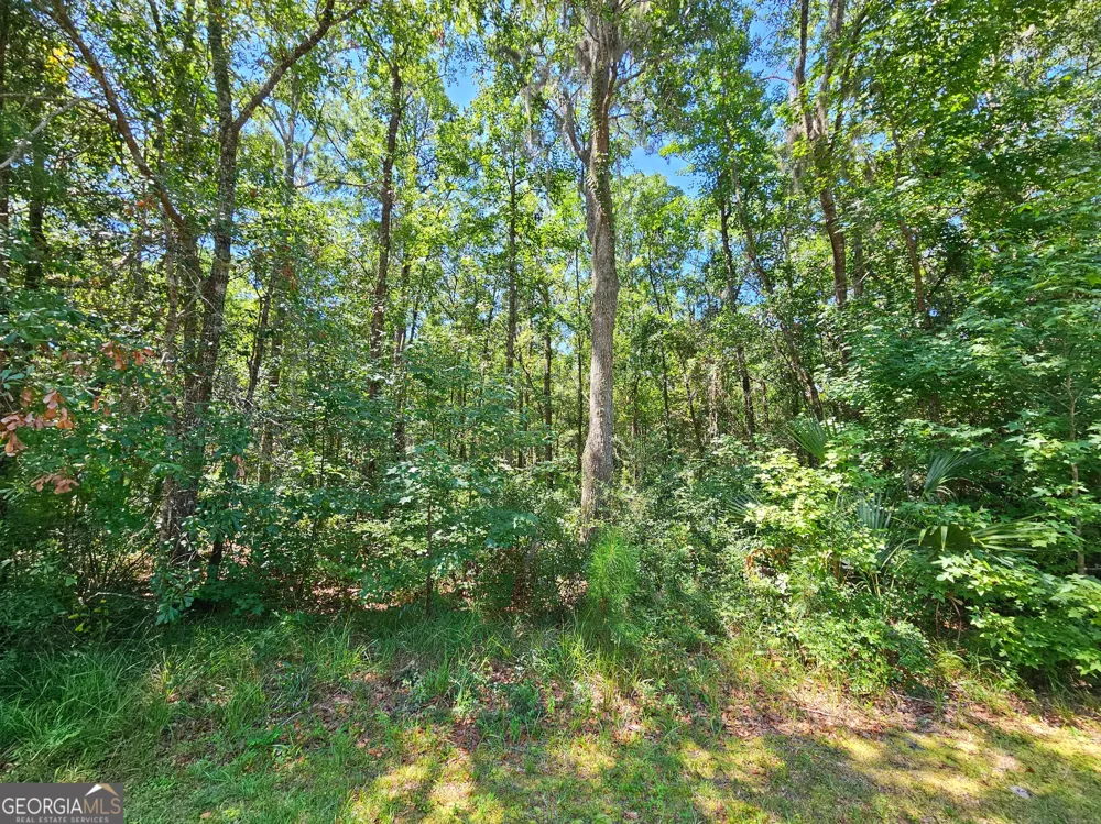 LOT 50 Tar Flower TRL Waverly, GA 31565