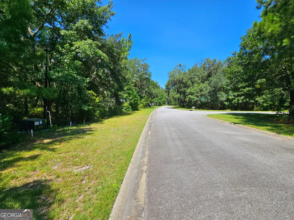 LOT 50 Tar Flower TRL Waverly, GA 31565