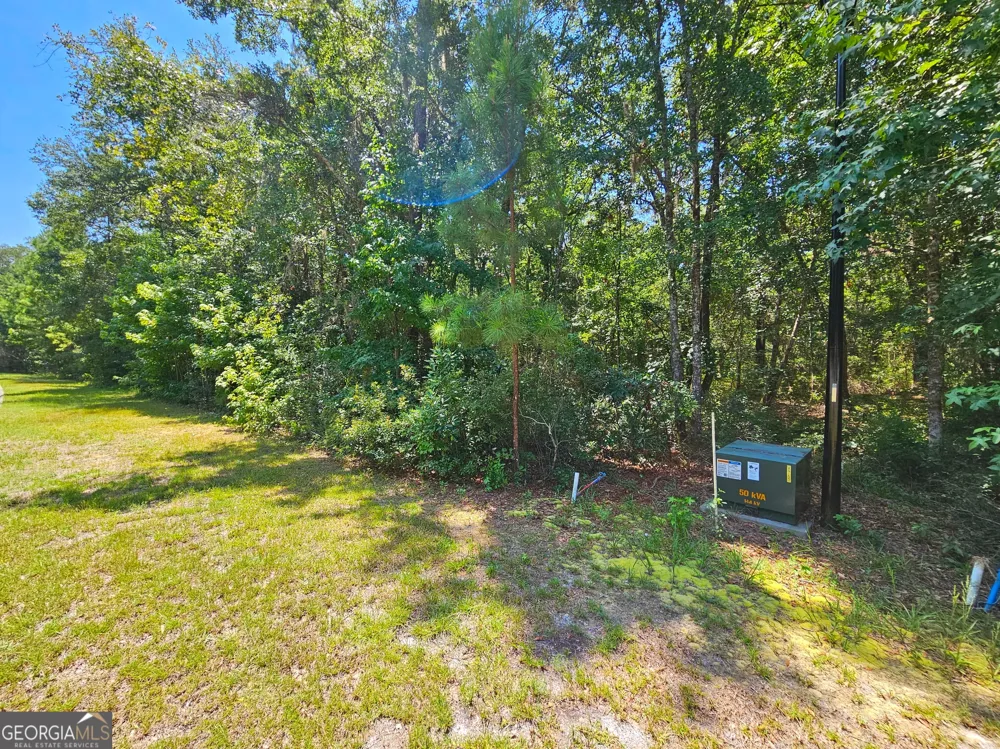 LOT 50 Tar Flower TRL Waverly, GA 31565