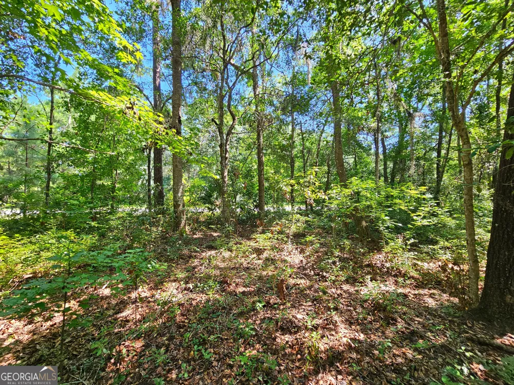 LOT 50 Tar Flower TRL Waverly, GA 31565