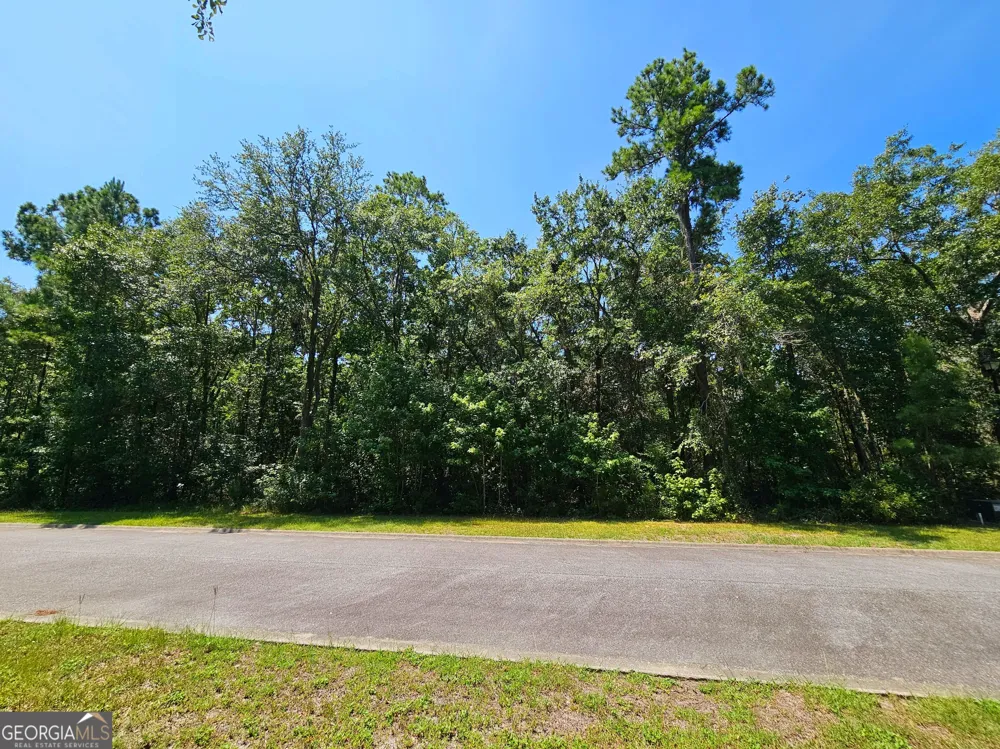 LOT 50 Tar Flower TRL Waverly, GA 31565