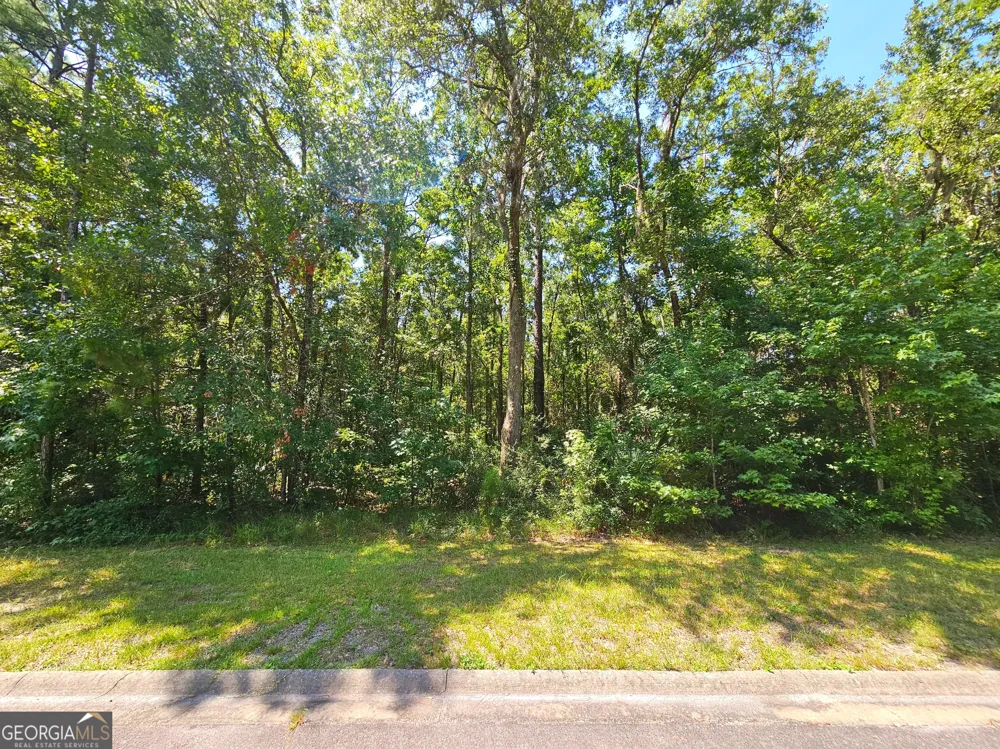 LOT 50 Tar Flower TRL Waverly, GA 31565