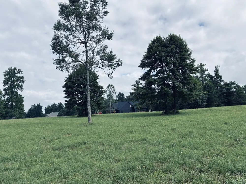 205 Raulston Falls Road Jasper, TN 37347