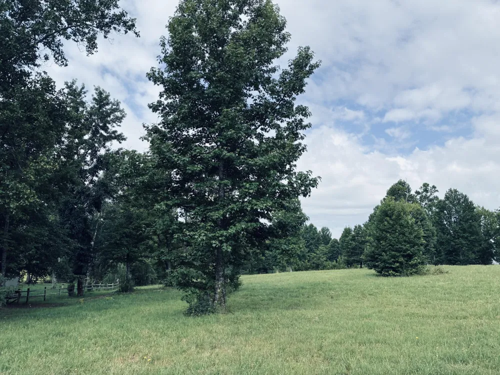 205 Raulston Falls Road Jasper, TN 37347