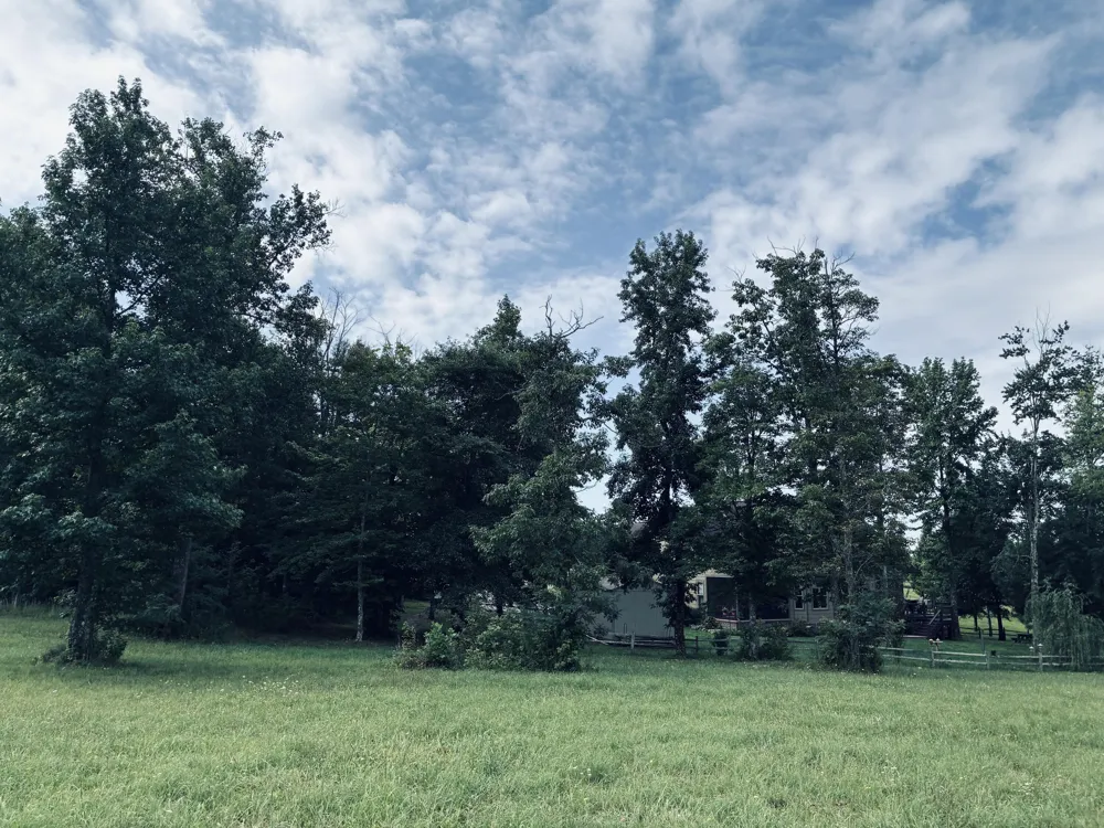 205 Raulston Falls Road Jasper, TN 37347