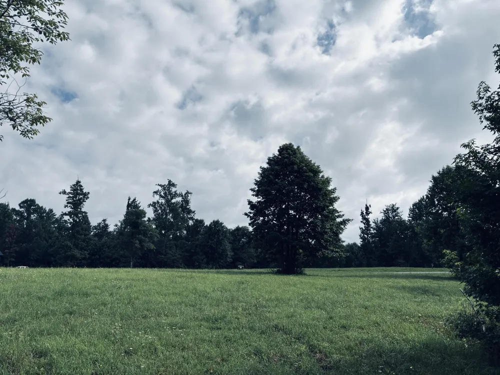 205 Raulston Falls Road Jasper, TN 37347