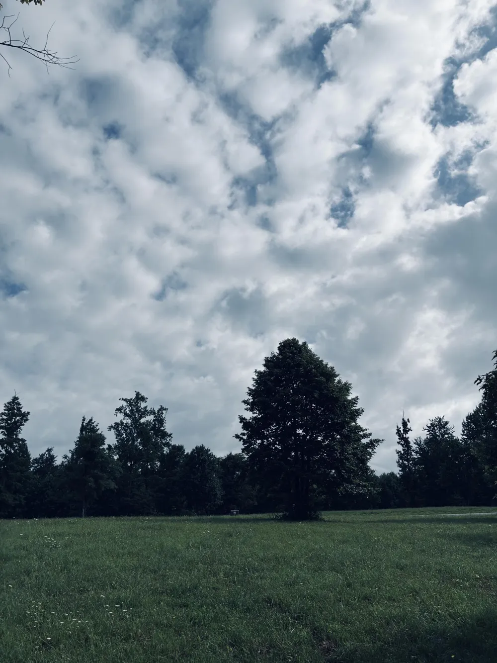 205 Raulston Falls Road Jasper, TN 37347