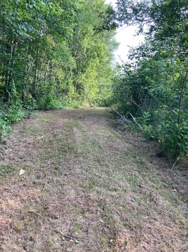TBD County Rd 137 Moose Lake, MN 55767