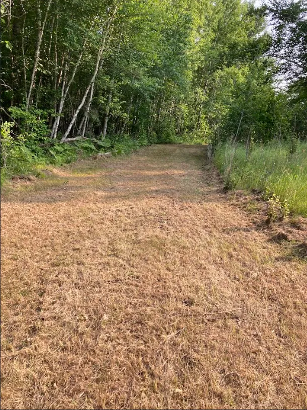 TBD County Rd 137 Moose Lake, MN 55767