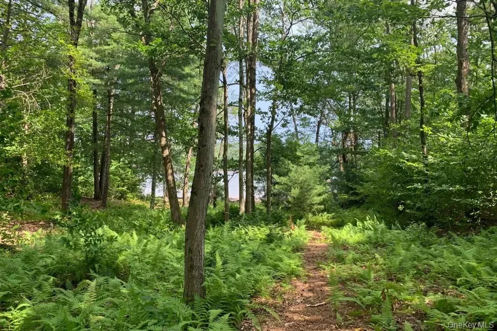 Lot 23 Woodstone Trail White Lake, NY 12720
