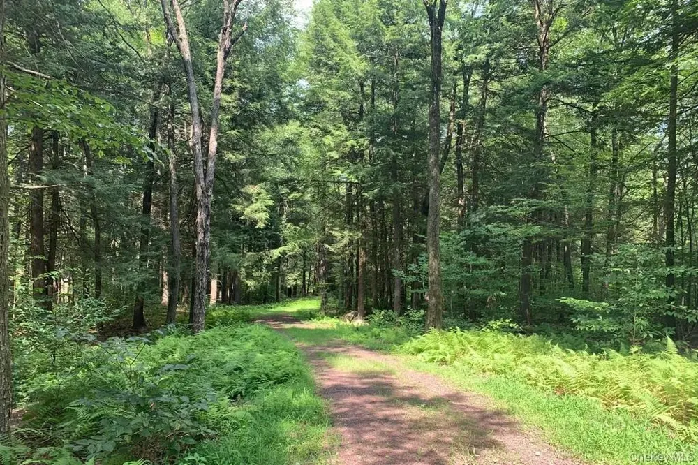 Lot 23 Woodstone Trail White Lake, NY 12720