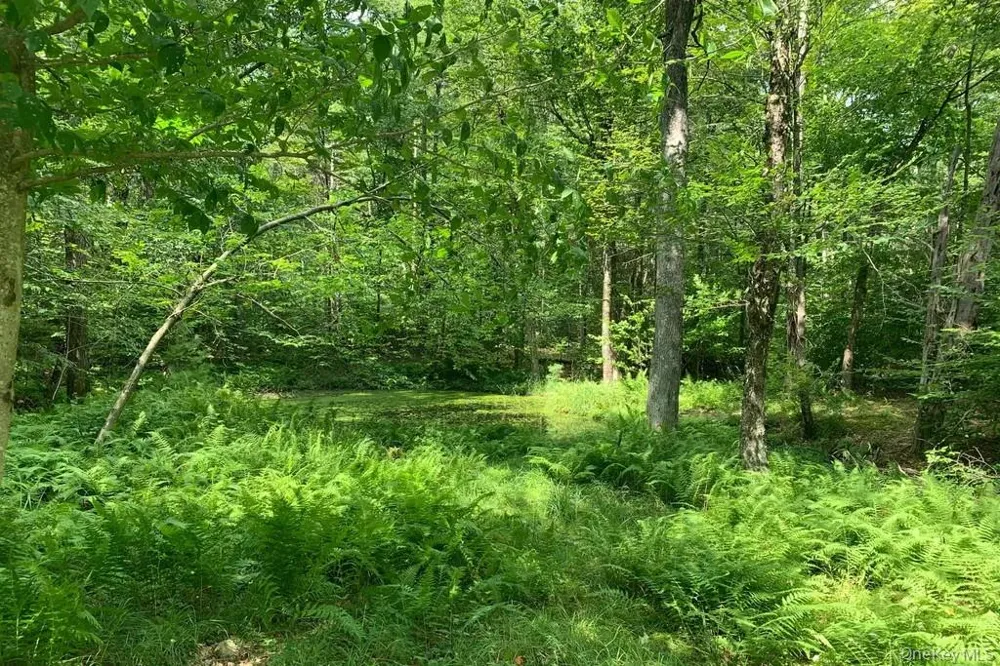Lot 23 Woodstone Trail White Lake, NY 12720