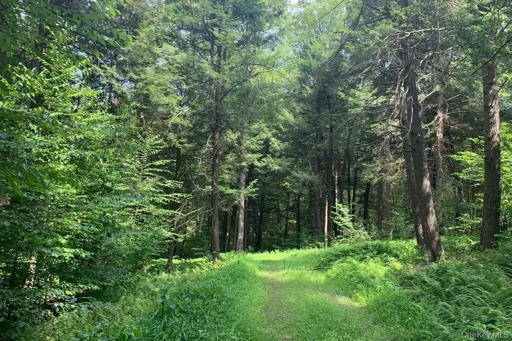 Lot 23 Woodstone Trail White Lake, NY 12720