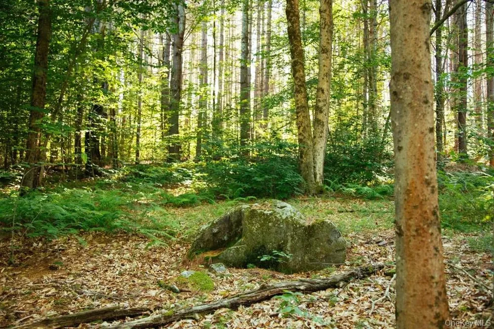 Lot 1 Woodstone Trail Lumberland, NY 12737