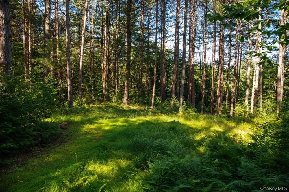 Lot 1 Woodstone Trail Lumberland, NY 12737