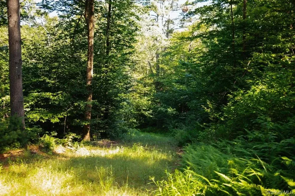 Lot 1 Woodstone Trail Lumberland, NY 12737