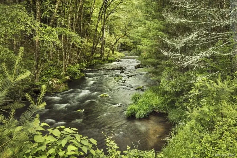 Lot 1 Woodstone Trail Lumberland, NY 12737