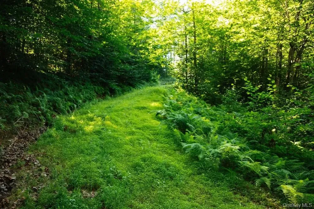Lot 2 Woodstone Trail Lumberland, NY 12737