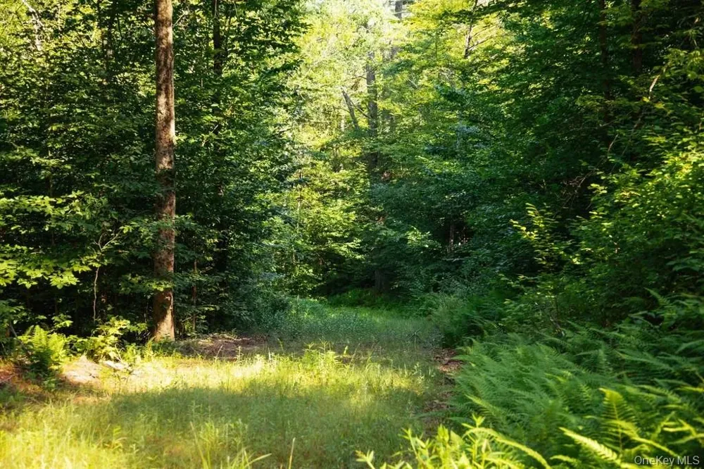 Lot 2 Woodstone Trail Lumberland, NY 12737