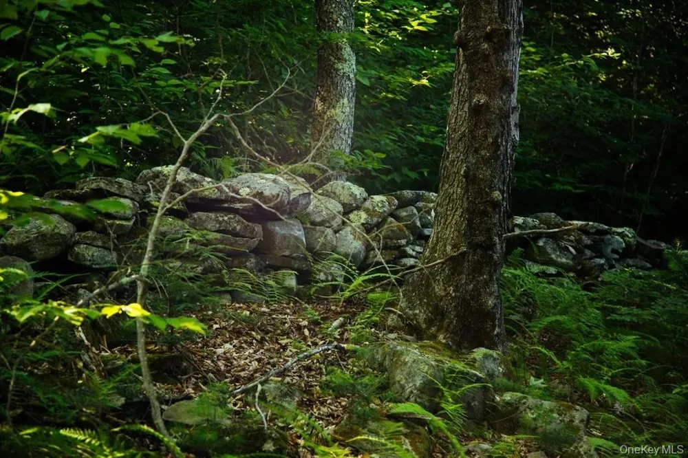 Lot 2 Woodstone Trail Lumberland, NY 12737