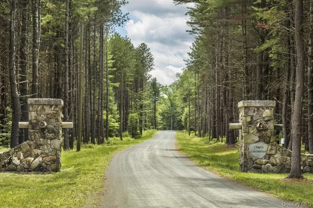 Lot 2 Woodstone Trail Lumberland, NY 12737