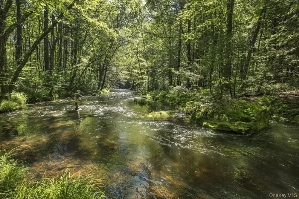 Lot 2 Woodstone Trail Lumberland, NY 12737