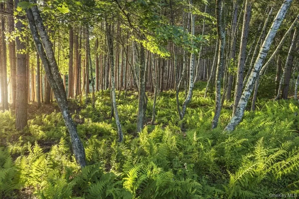 Lot 2 Woodstone Trail Lumberland, NY 12737