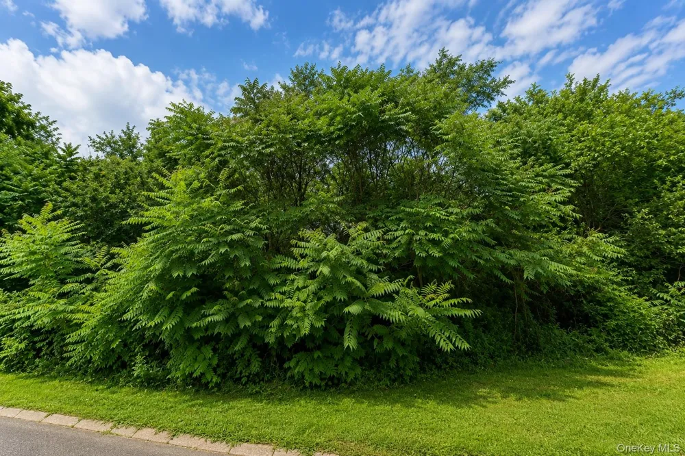 Patricia Drive Pleasant Valley, NY 12569