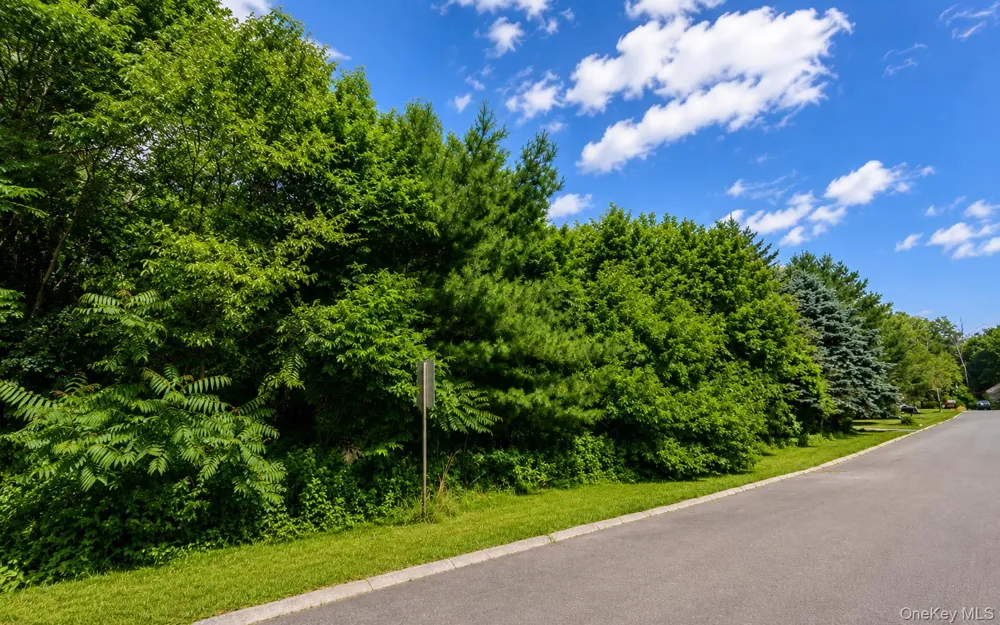 Patricia Drive Pleasant Valley, NY 12569