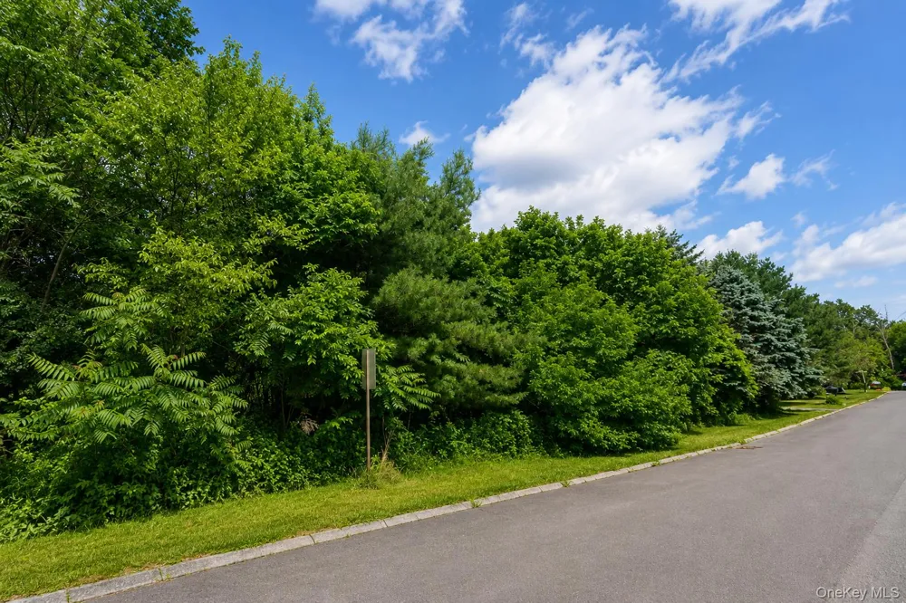 Patricia Drive Pleasant Valley, NY 12569
