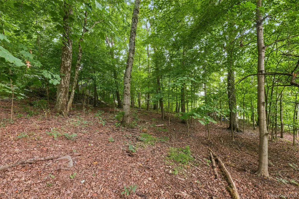Brewer Road Newburgh, NY 12550