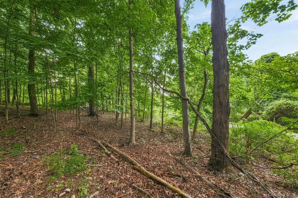 Brewer Road Newburgh, NY 12550