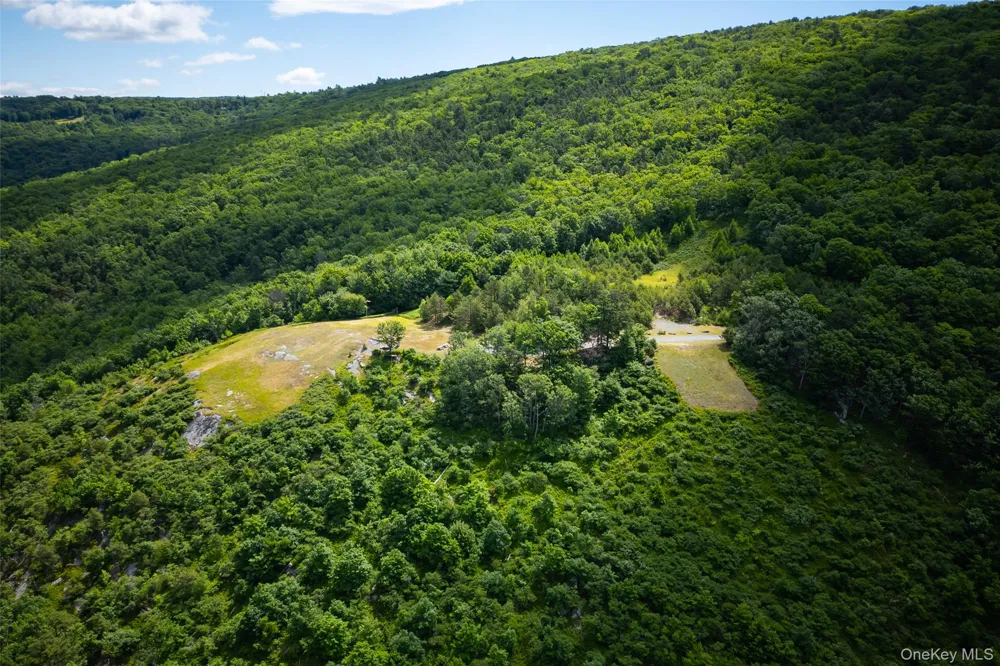 80 Hang Glider Road Ellenville, NY 12428