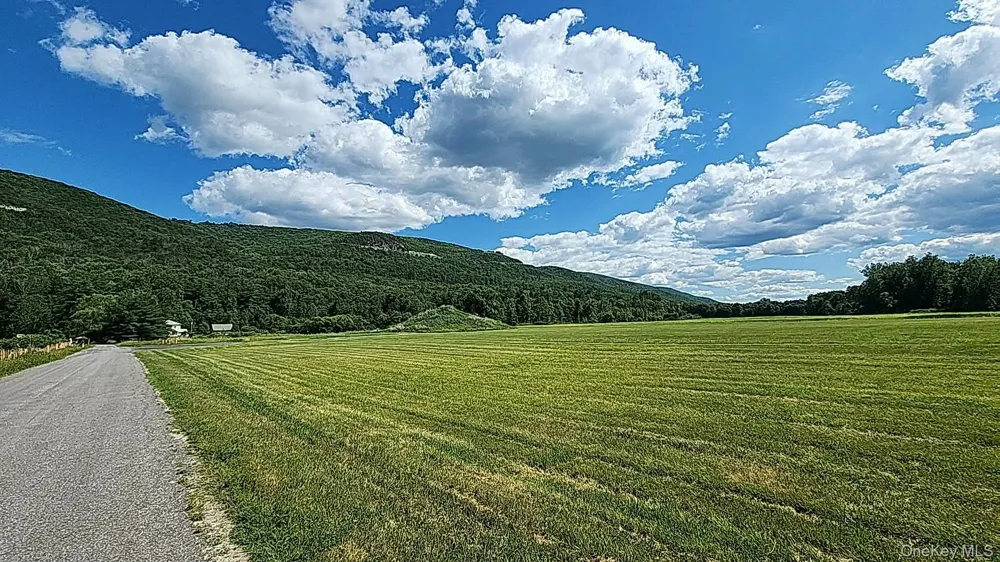 80 Hang Glider Road Ellenville, NY 12428