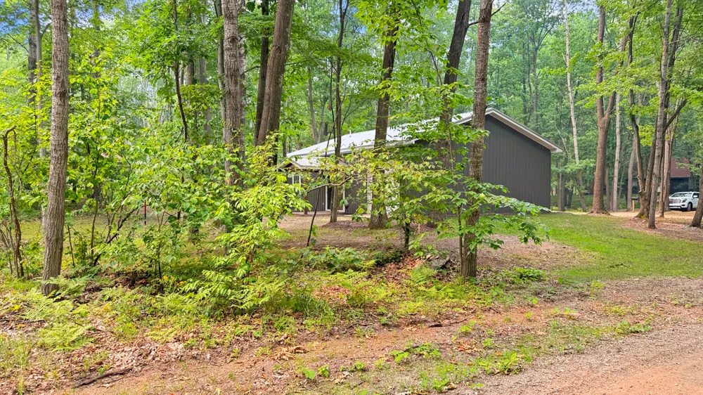 99 Middle Trail Leroy, MI 49655