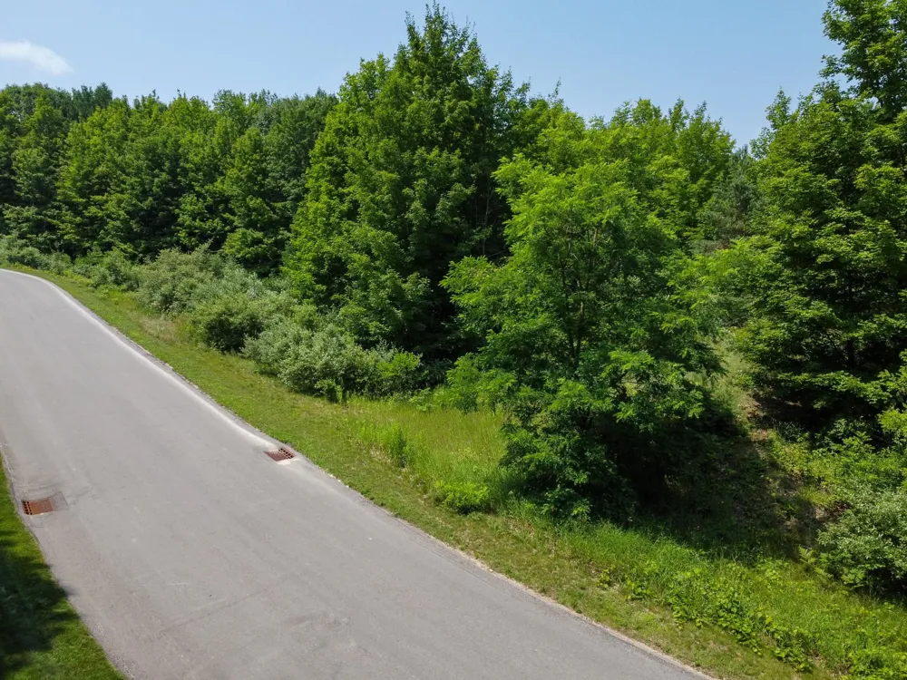 S Skye Hill Drive Elmwood Charter Township, MI 49684