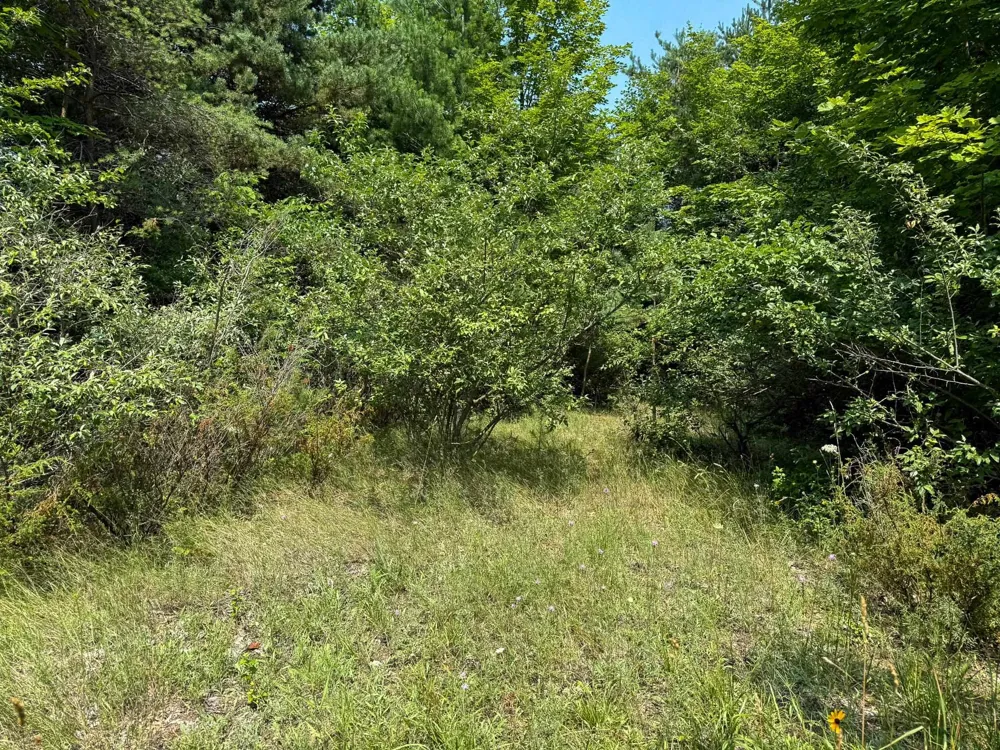 S Skye Hill Drive Elmwood Charter Township, MI 49684