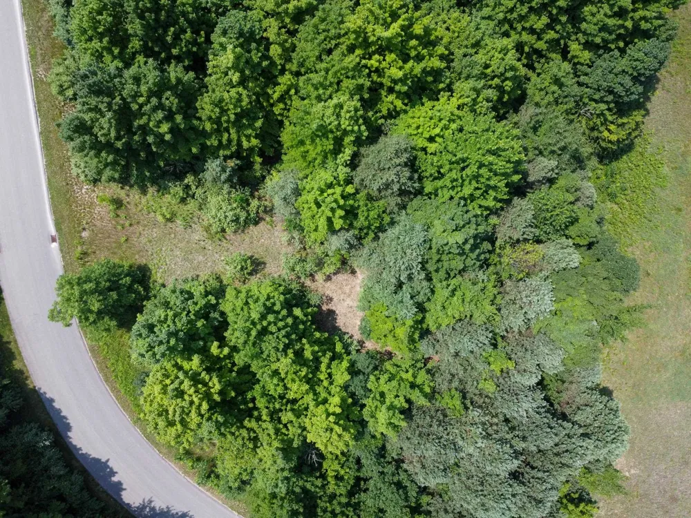 S Skye Hill Drive Elmwood Charter Township, MI 49684