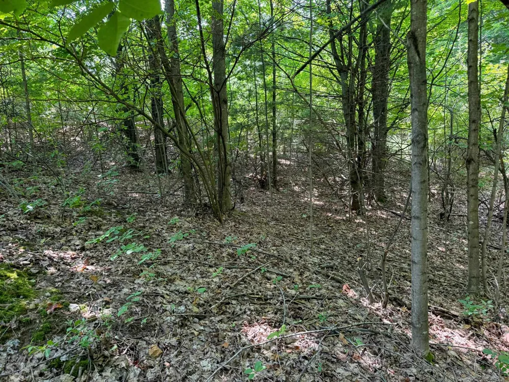 S Skye Hill Drive Elmwood Charter Township, MI 49684