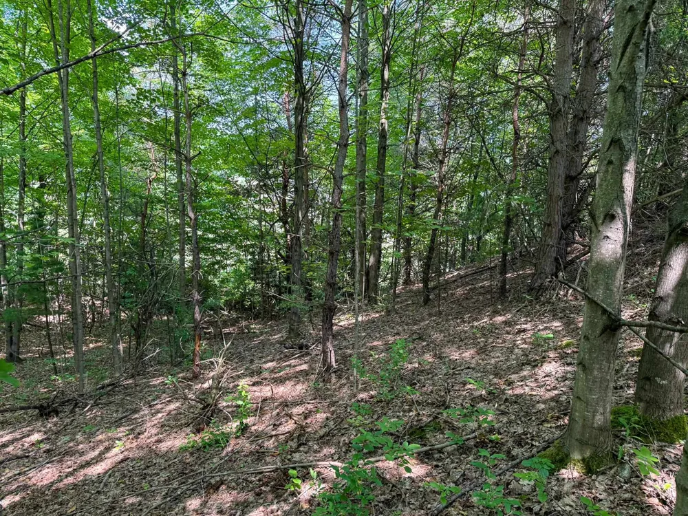 S Skye Hill Drive Elmwood Charter Township, MI 49684