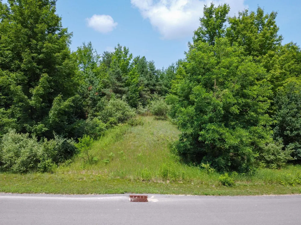 S Skye Hill Drive Elmwood Charter Township, MI 49684