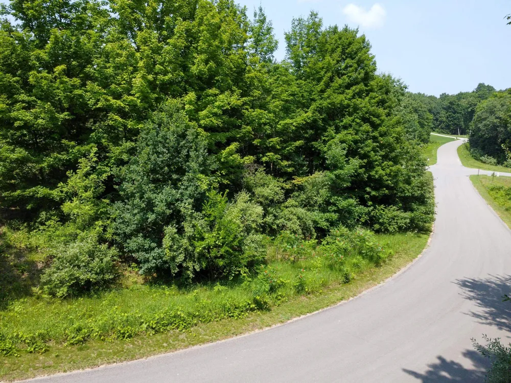 S Skye Hill Drive Elmwood Charter Township, MI 49684
