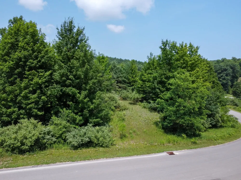 S Skye Hill Drive Elmwood Charter Township, MI 49684