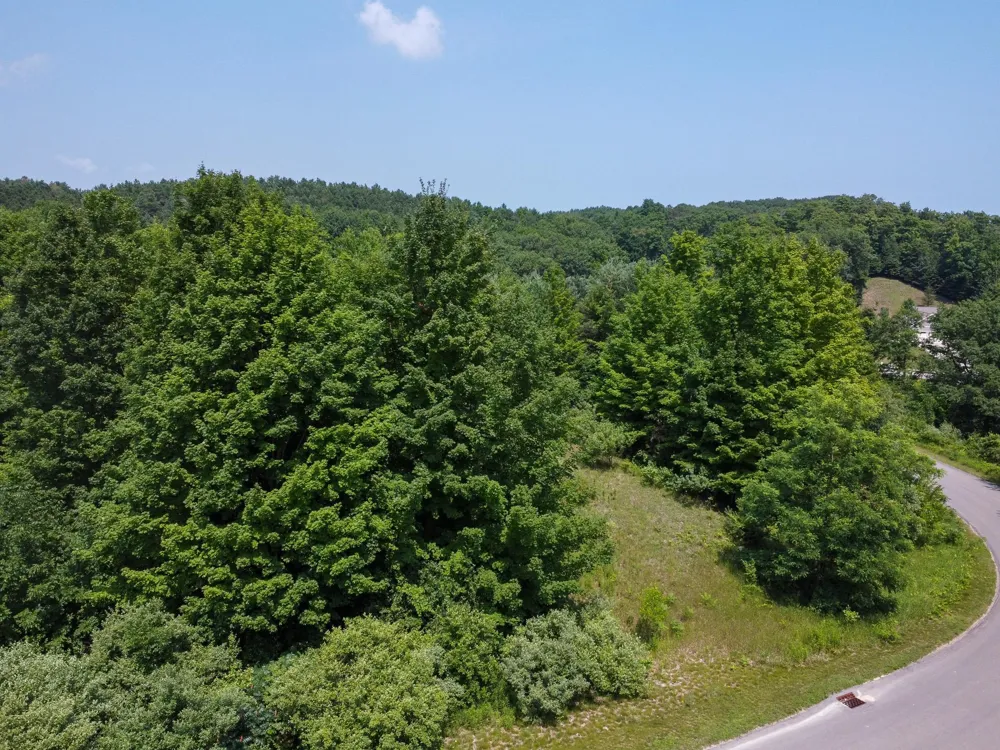 S Skye Hill Drive Elmwood Charter Township, MI 49684