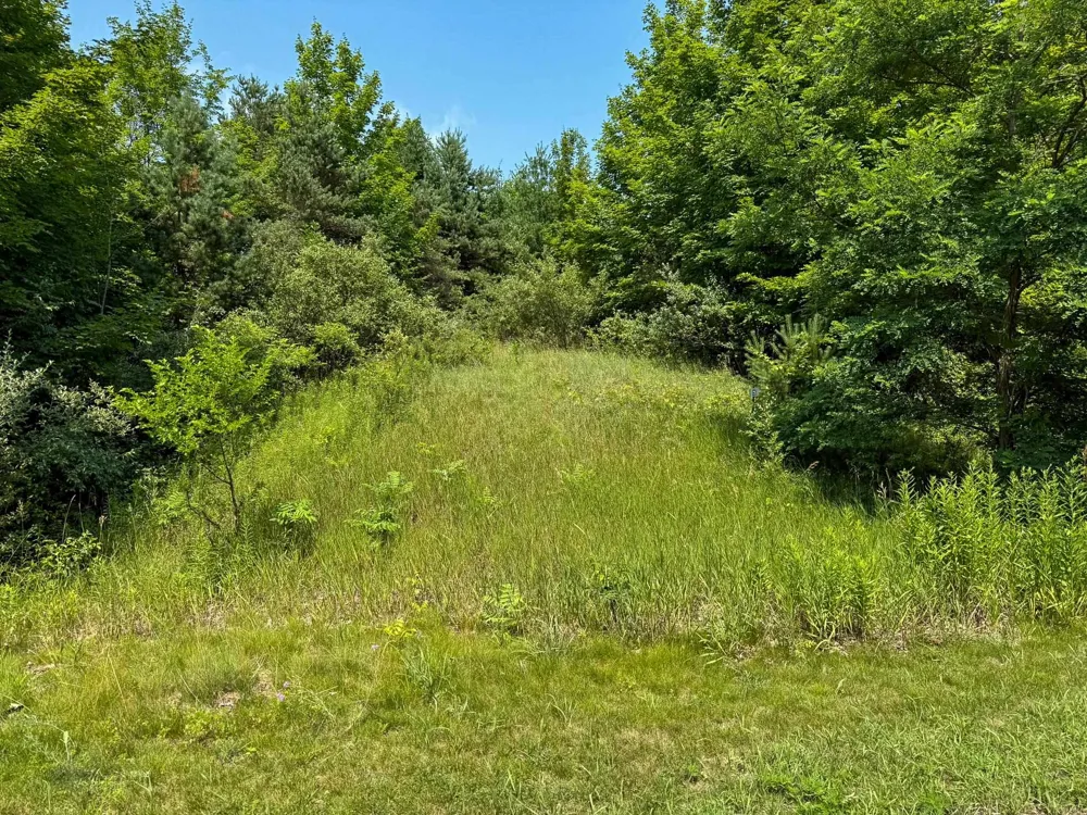 S Skye Hill Drive Elmwood Charter Township, MI 49684