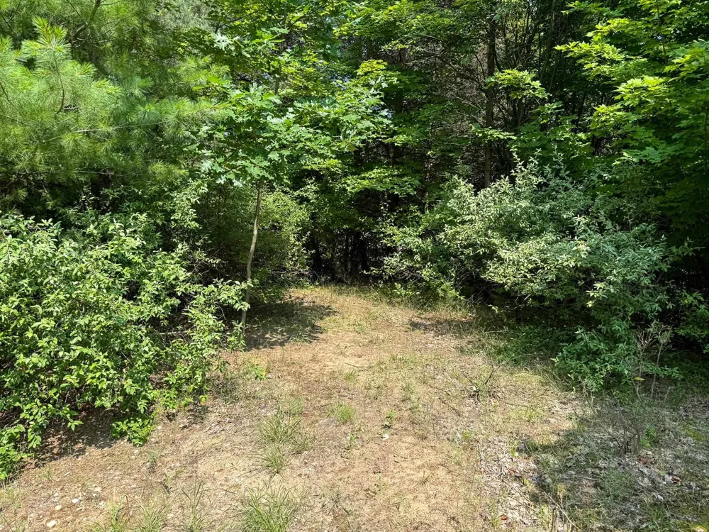 S Skye Hill Drive Elmwood Charter Township, MI 49684