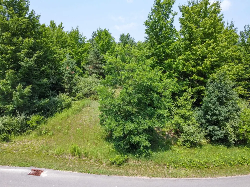 S Skye Hill Drive Elmwood Charter Township, MI 49684