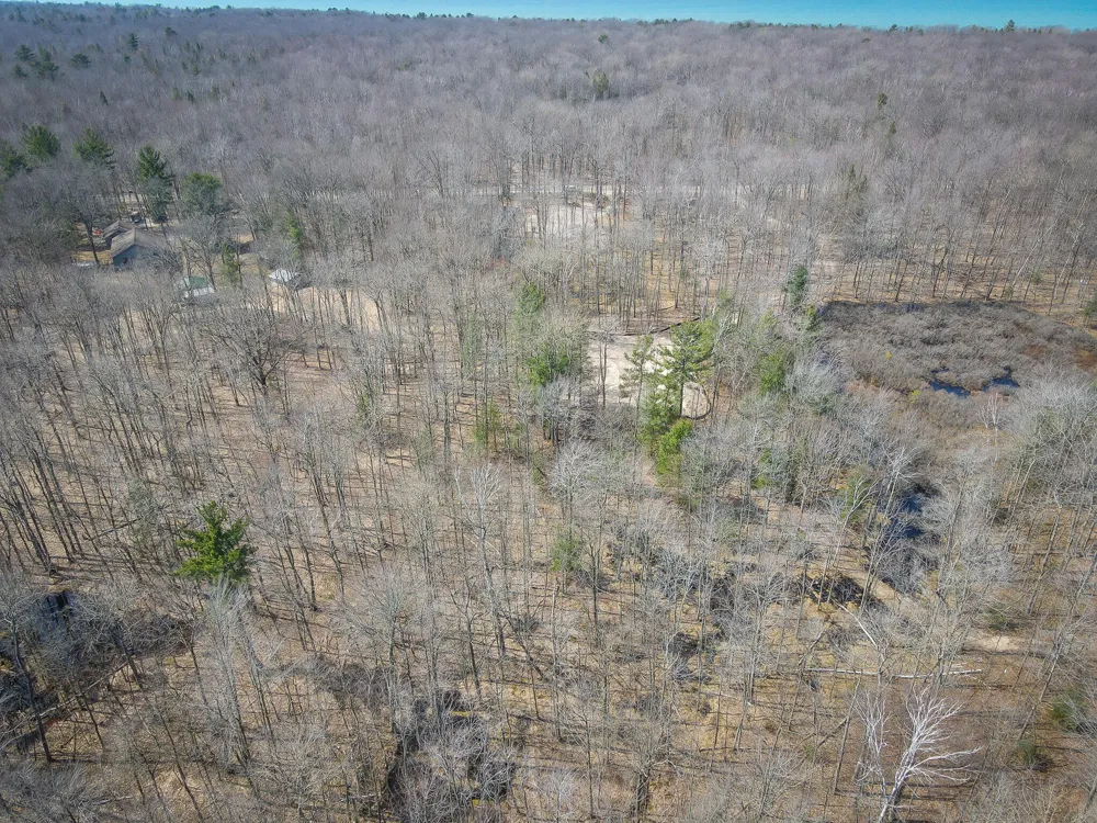 4986 Ridge Road Mears, MI 49436