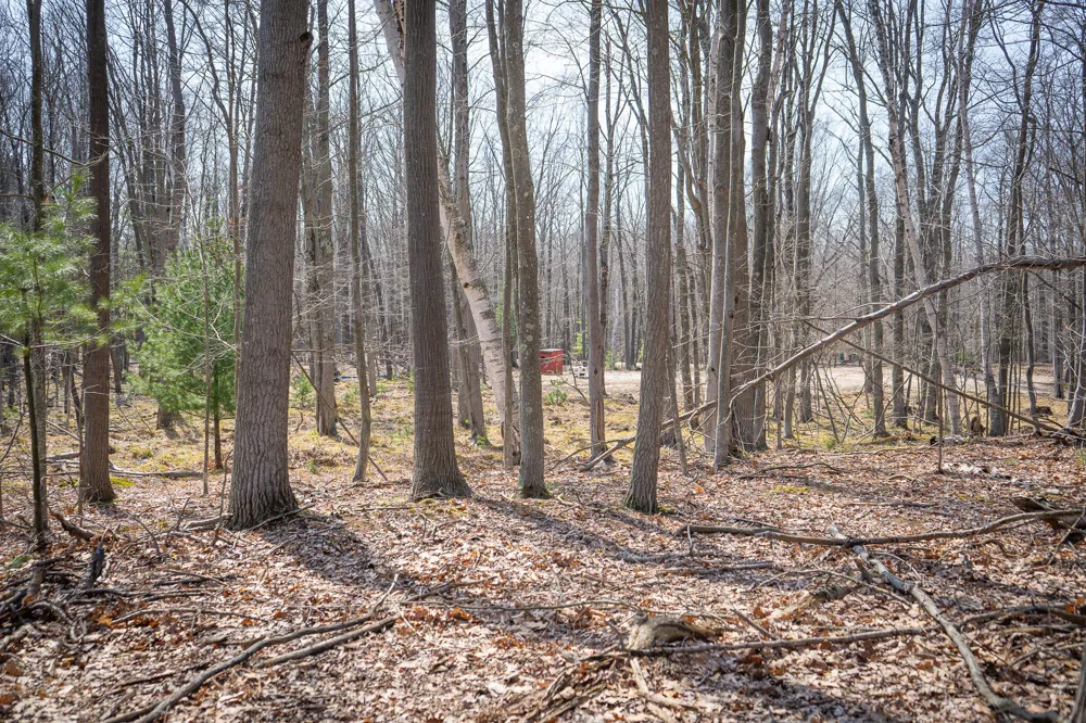 4986 Ridge Road Mears, MI 49436